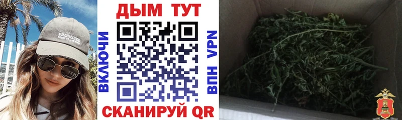 Что такое Туринск ГАШИШ Конопля Псилоцибиновые грибы Меф