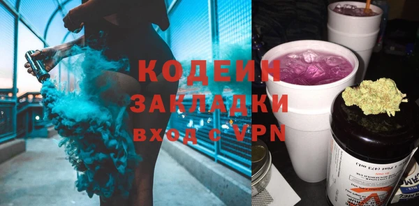 сатива Новозыбков