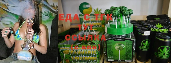 сатива Новозыбков