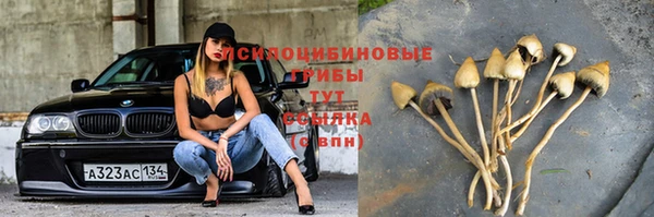 apvp Аркадак