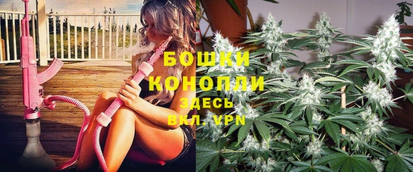 apvp Аркадак