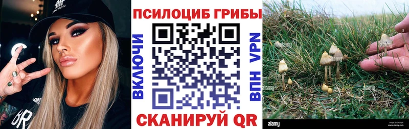 наркошоп  Туринск  Галлюциногенные грибы GOLDEN TEACHER 